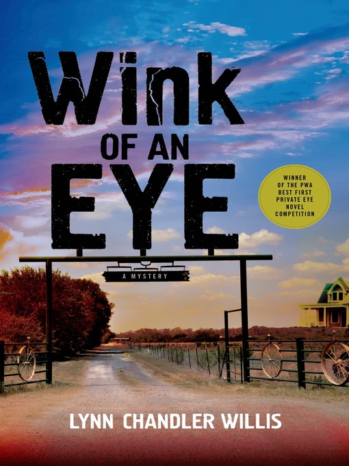 Title details for Wink of an Eye by Lynn Chandler Willis - Wait list